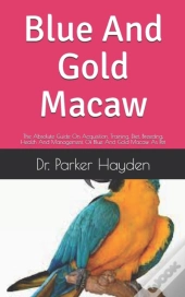 Blue And Gold Macaw