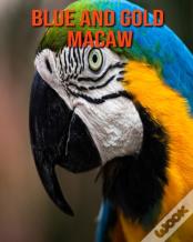 Blue And Gold Macaw