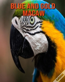 Capa do artigo Blue And Gold Macaw