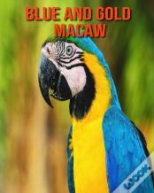 Blue And Gold Macaw