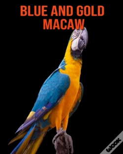 Capa do artigo Blue And Gold Macaw