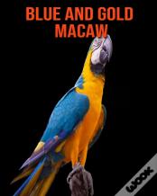 Blue And Gold Macaw