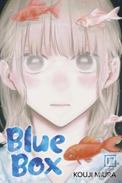 Capa do artigo Blue Box, Vol. 17