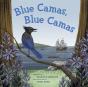 Blue Camas, Blue Camas - Preview