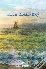 Capa do artigo Blue Clear Sky