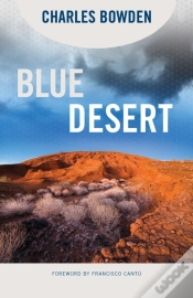 Capa do artigo Blue Desert