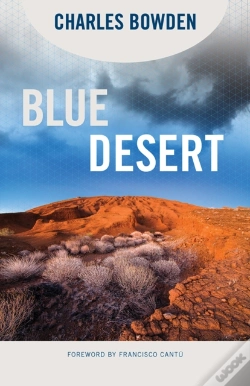 Capa do artigo Blue Desert