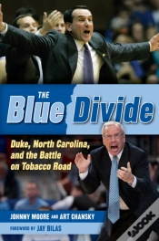 Capa do artigo Blue Divide