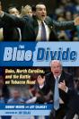 Blue Divide - Preview