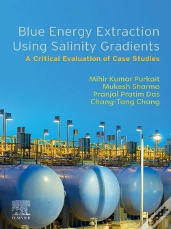 Capa do artigo Blue Energy Extraction Using Salinity  Gradients