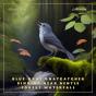 Blue-Gray Gnatcatcher Singing Near Gentle Forest Waterfall - Preview