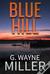 Capa do artigo Blue Hill