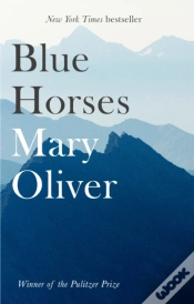 Capa do artigo Blue Horses