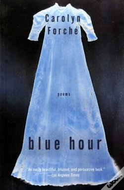 Capa do artigo Blue Hour
