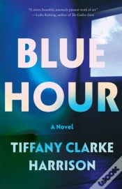 Capa do artigo Blue Hour