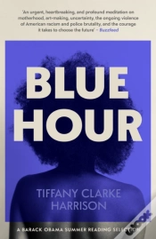 Capa do artigo Blue Hour