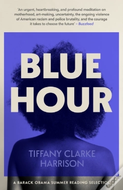 Capa do artigo Blue Hour