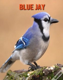 Capa do artigo Blue Jay