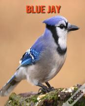 Blue Jay