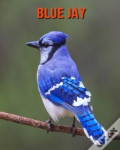 Capa do artigo Blue Jay