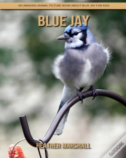 Capa do artigo Blue Jay