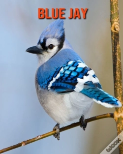 Capa do artigo Blue Jay