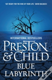Capa do artigo Blue Labyrinth