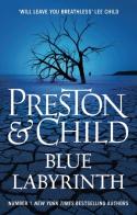 Blue Labyrinth