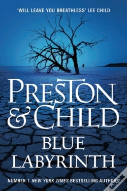 Capa do artigo Blue Labyrinth