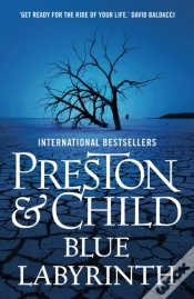 Capa do artigo Blue Labyrinth
