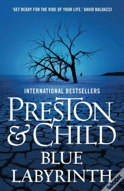 Capa do artigo Blue Labyrinth
