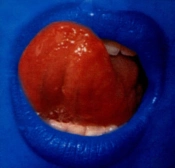 Capa do artigo Blue Lipps - Vinil