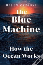 Capa do artigo Blue Machine