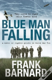 Capa do artigo Blue Man Falling