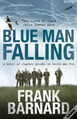 Capa do artigo Blue Man Falling