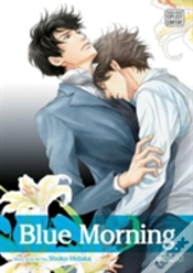 Capa do artigo Blue Morning, Vol. 6