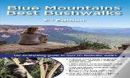 Blue Mountains Best Bushwalks