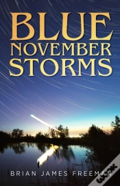 Capa do artigo Blue November Storms