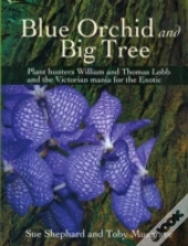 Blue Orchid And Big Tree