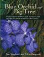 Blue Orchid And Big Tree - Preview
