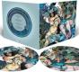 Blue Record - Vinil - Preview