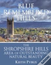 Capa do artigo Blue Remembered Hills