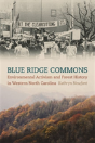 Blue Ridge Commons - Preview