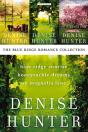 Blue Ridge Romance Collection - Preview