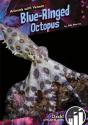 Blue-Ringed Octopus - Preview