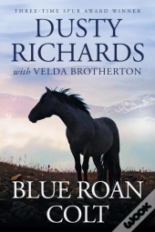 Blue Roan Colt