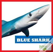 Blue Shark