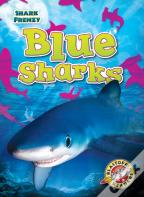 Blue Sharks