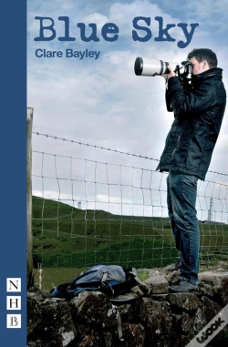 Capa do artigo Blue Sky