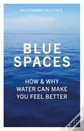 Capa do artigo Blue Spaces